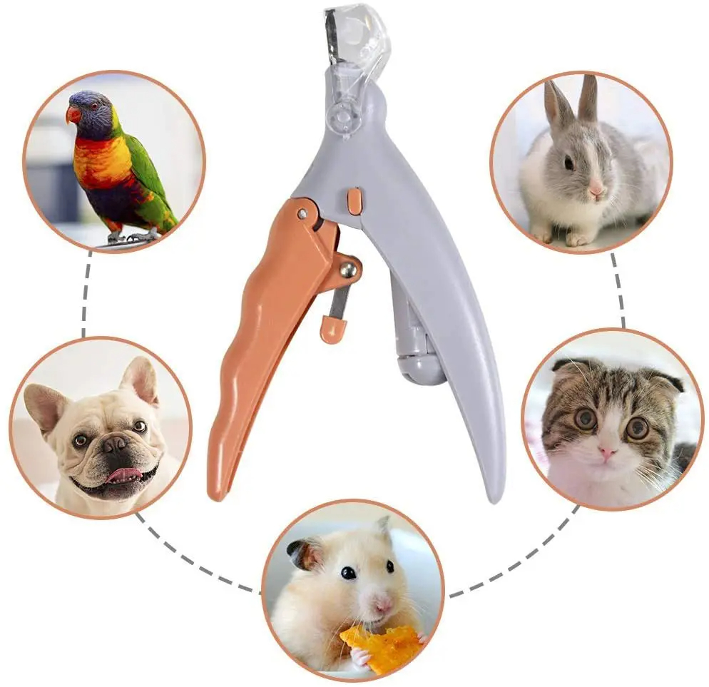 Grooming Scissors - Forbici professionali per il taglio delle
