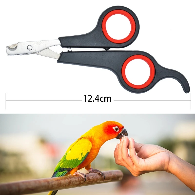 Forbici per Unghie di Pappagal - Grooming Scissors recensione e prezzo